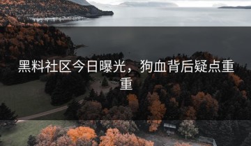 黑料社区今日曝光，狗血背后疑点重重