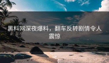 黑料网深夜爆料，翻车反转剧情令人震惊